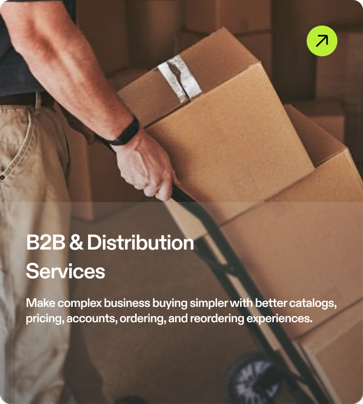 B2B & Distribution