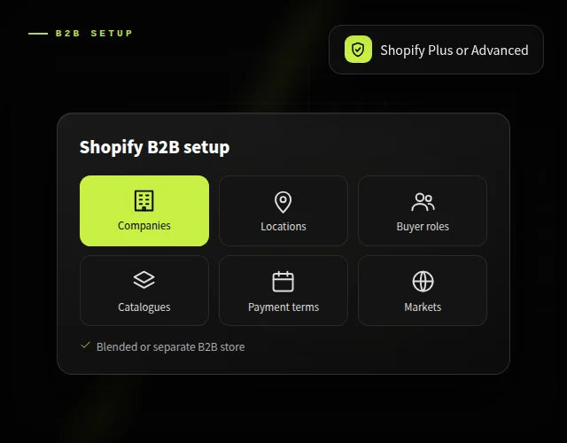 Shopify B2B & Shopify Plus B2B setup