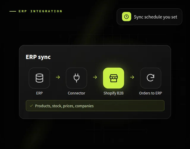 Shopify ERP integration